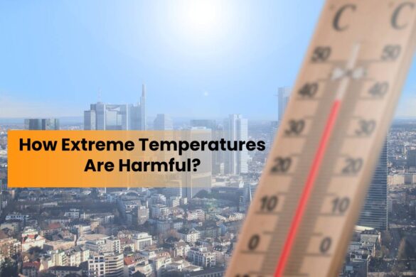 How Extreme Temperatures Are Harmful?