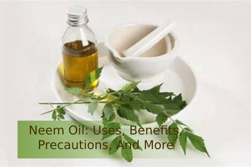 Neem Oil: Uses, Benefits, Precautions, And More