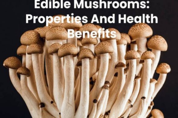 Edible Mushrooms: Properties And Health Benefits
