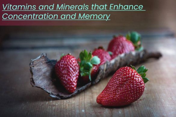 Vitamins and Minerals that Enhance Concentration and Memory