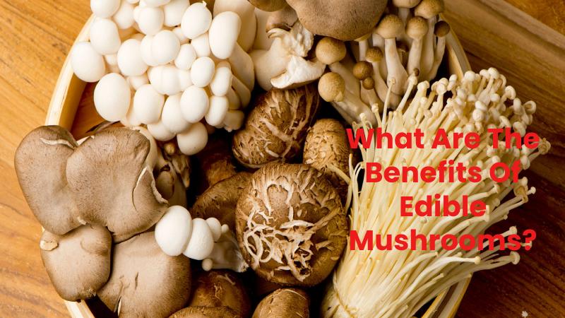 What Are The Benefits Of Edible Mushrooms?