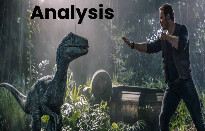 Analysis