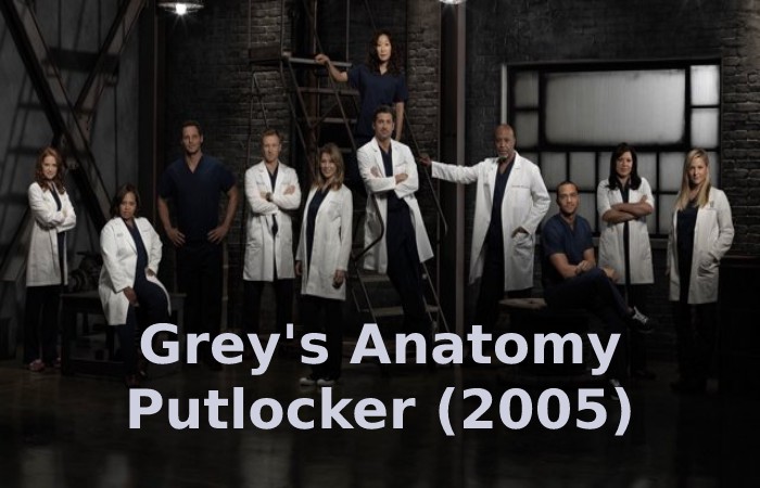 Grey's Anatomy Putlocker (2005)