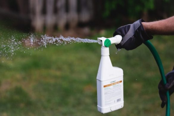 Choosing Mosquito Repellents & Yard Sprays That Are Pet Safe