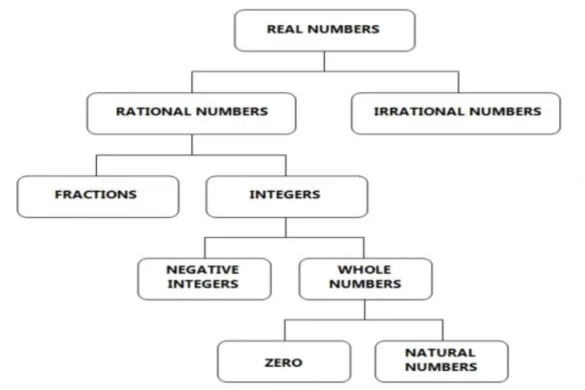 A Comprehensive Analysis About Real Numbers