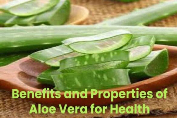 Benefits and Properties of Aloe Vera for Health