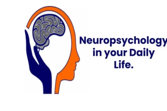 Neuropsychology in your Daily Life