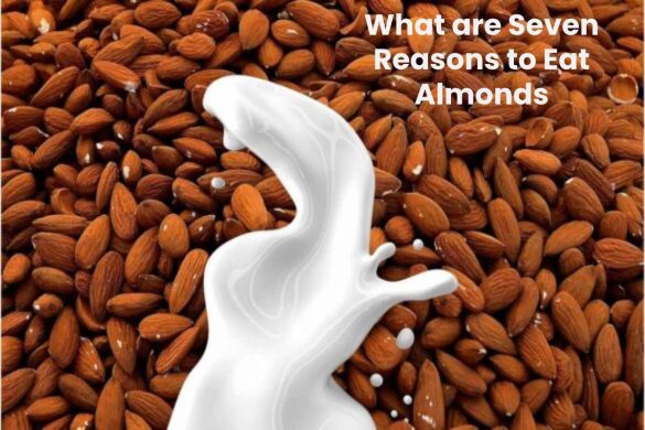 What are Seven Reasons to Eat Almonds