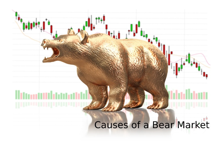 Causes of a Bear Market