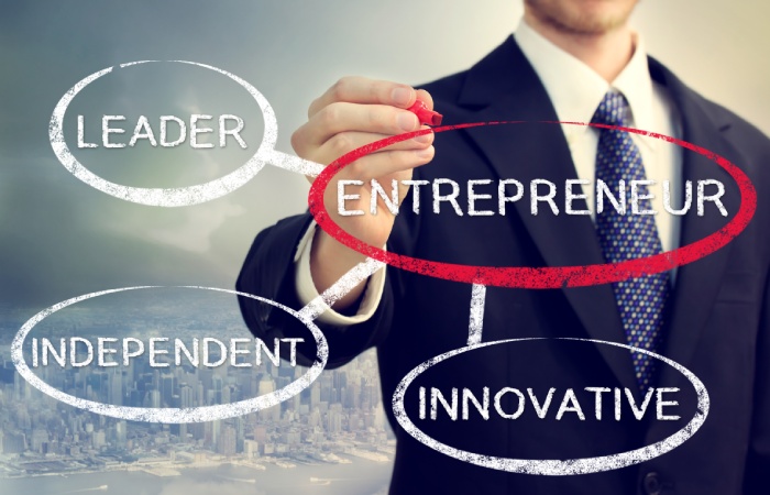 What is an Entrepreneur? 