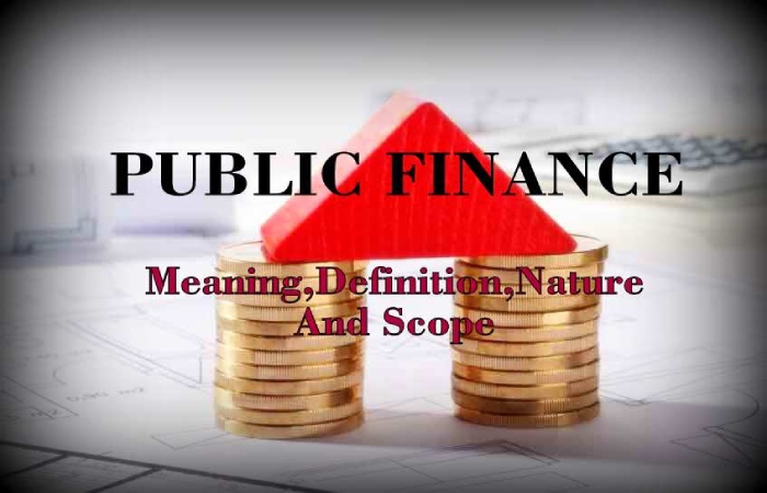 Types of Public Finance