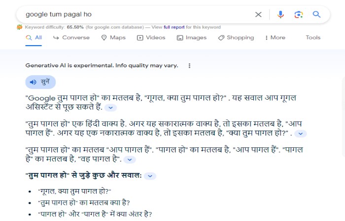 Google Tum Pagal Ho – What is the answer to Tum Pagal Ho_