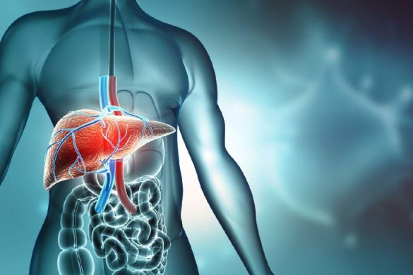 4 Ways To Support Liver Health This Holiday Season