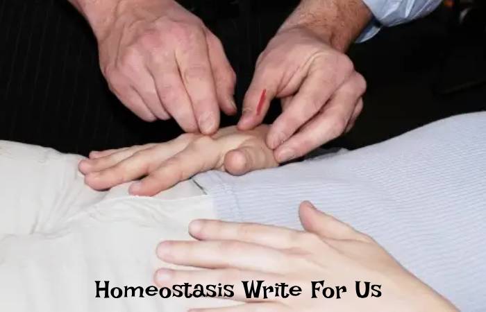 Homeostasis Write For Us