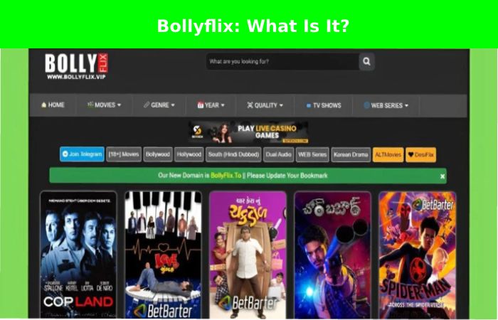 Bollyflix_ What Is It_