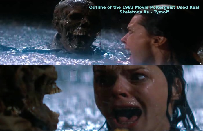 Outline of the 1982 Movie Poltergeist Used Real Skeletons As – Tymoff