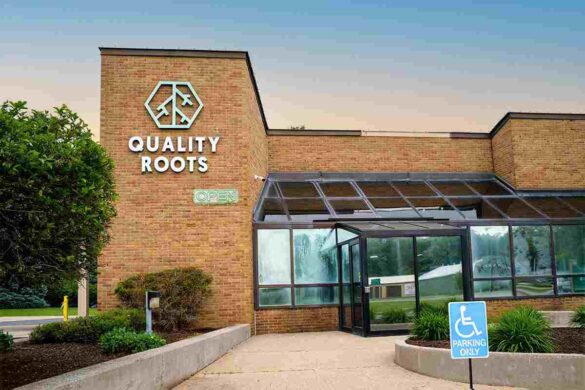 Quality Roots